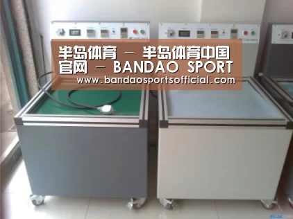半岛体育案例展示二(图1)