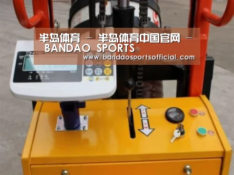 半岛体育案例展示三