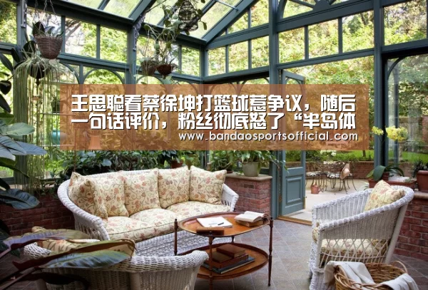 王思聪看蔡徐坤打篮球惹争议,随后一句话评价,粉丝彻底怒了“半岛体育平台”(图3) 半岛体育