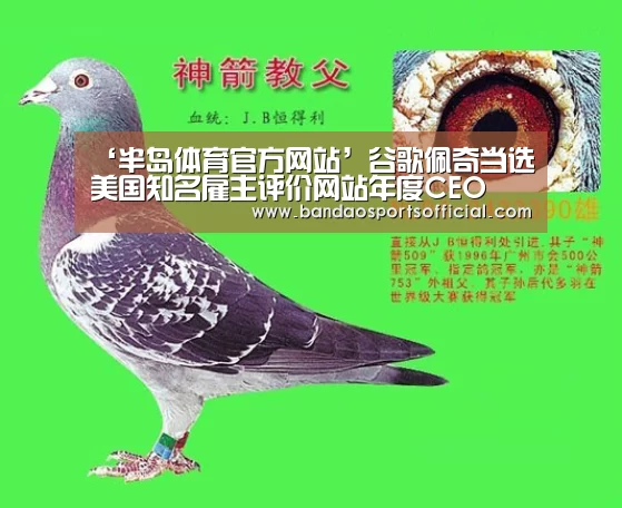 ‘半岛体育官方网站’谷歌佩奇当选美国知名雇主评价网站年度CEO(图1) 半岛体育平台
