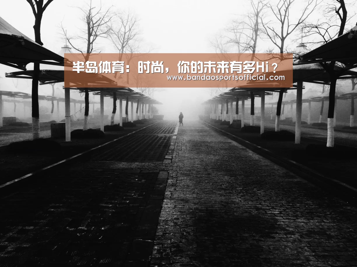半岛体育官方网站
