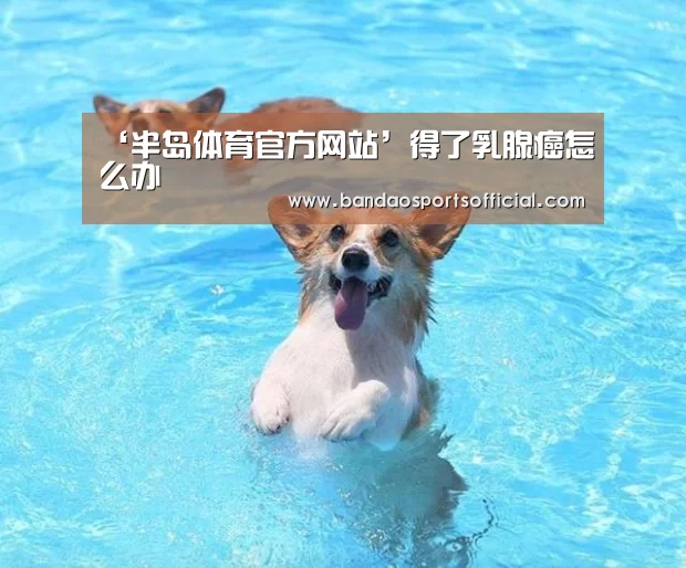 半岛体育官方网站