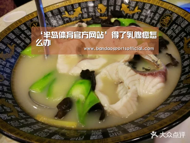 半岛体育官网