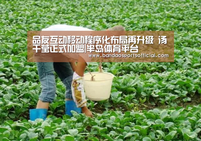 半岛体育官方网站