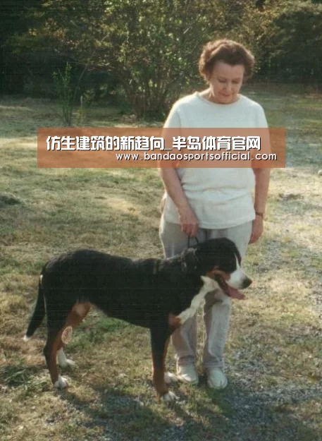仿生建筑的新趋向_半岛体育官网(图2) 半岛体育