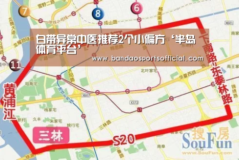 半岛体育平台