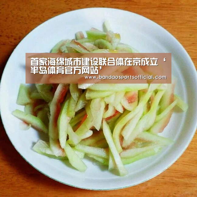半岛体育官方网站