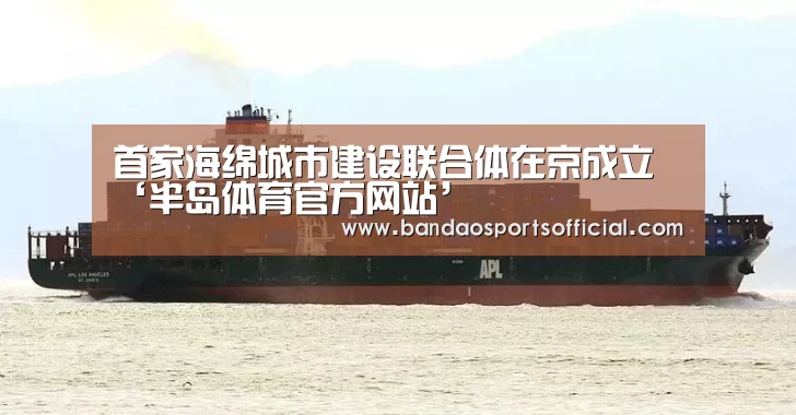 半岛体育官网