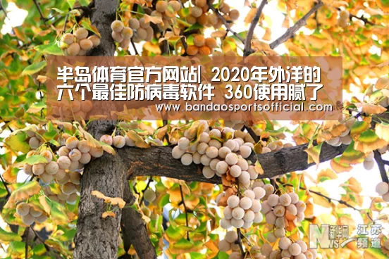半岛体育