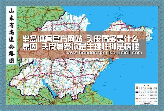半岛体育