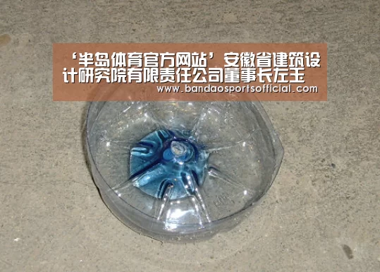 半岛体育官方网站